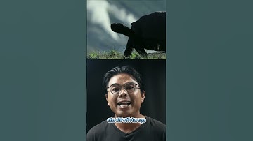 Phân Biệt Rùa Nước Và Rùa Cạn #shorts