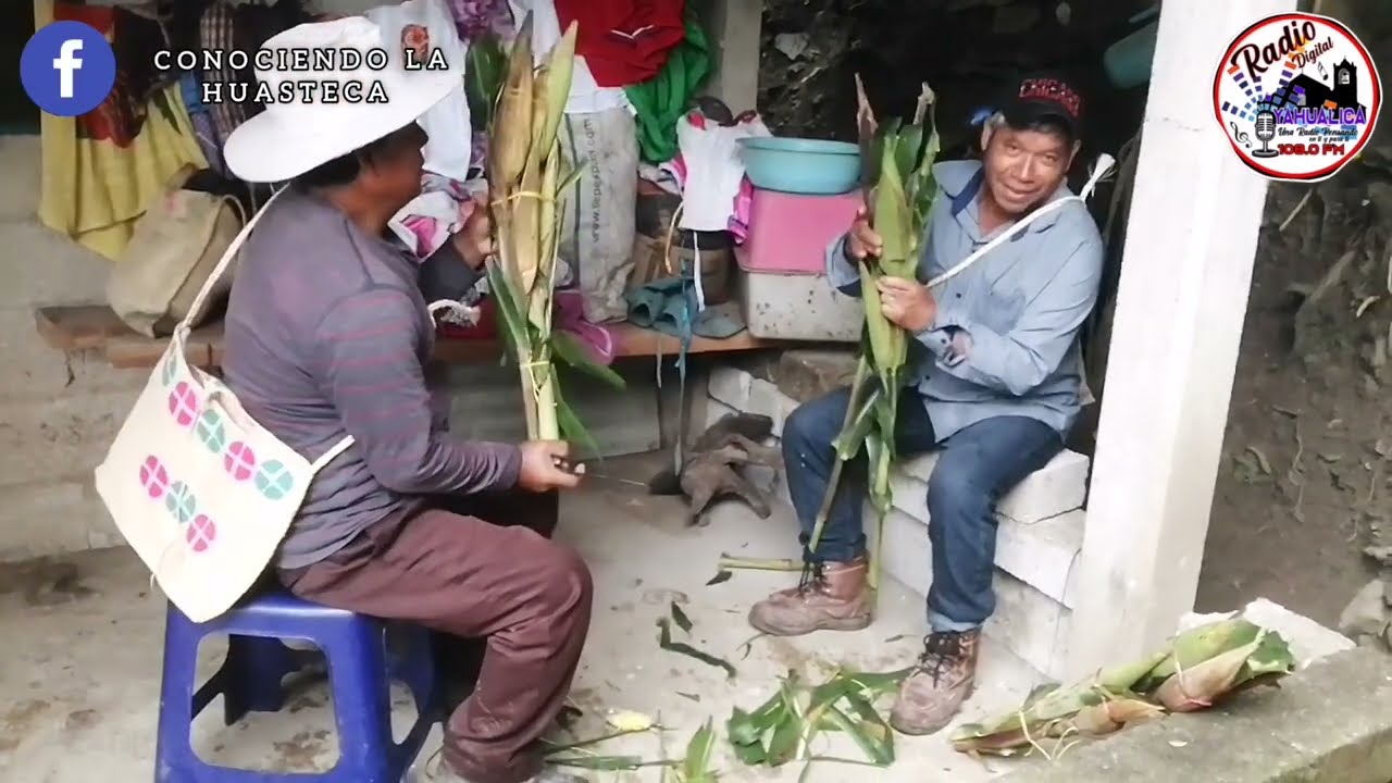 Fiesta del elote Achupil, Chicontepec, ver 2022