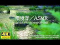 【環境音・ASMR】鳥のさえずり、川のせせらぎ音、滝音に爽やかな新緑／癒しの空間作りに、勉強中や作業用、目覚めの朝や眠れない夜にもどうぞ。