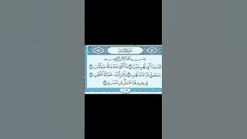 #القرآن #اكسبلور #القرآن_الكريم #قران_شاشة_سوداء #تيك_توك سورة المسد 🤲🤲🕋🕋