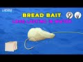 Bread bait  how to put a bread bait on the hook and how to make it stay for long time