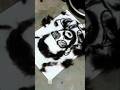 Hair se salman khan ki drawing banai #viralvideo #art #hairstyle art #shorts
