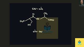 [Chemistry] Draw the structures of the two dipeptides that can be formed from serine and alanine.