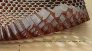 ESP Films - Akzonobel Colour Therapy