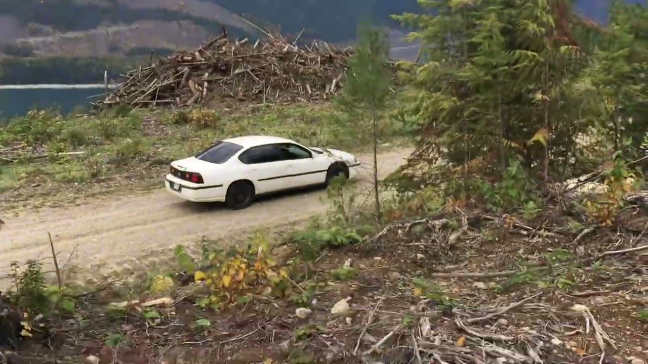 Extensive Clearcutting in the Duncan Rainforest 
