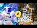 Moments where animals fought against robots  will the animals prevail against technology