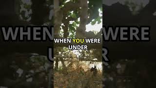 Jesus' Omniscience: John 1:48