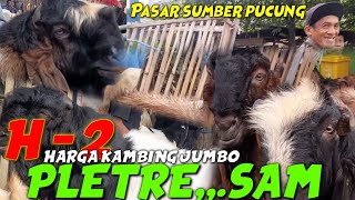 UPDATE !! HARGA KAMBING QURBAN.H - 2, DI PASAR HEWAN SUMBER PUCUNG MALANG.SELASA 27 JUNI 2023