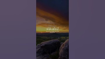 ما لكم لا ترجون لله وقارا || القارئ ياسر الدوسري || سورة نوح