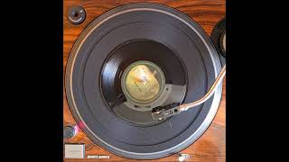 The Beatles - Paperback Writer
