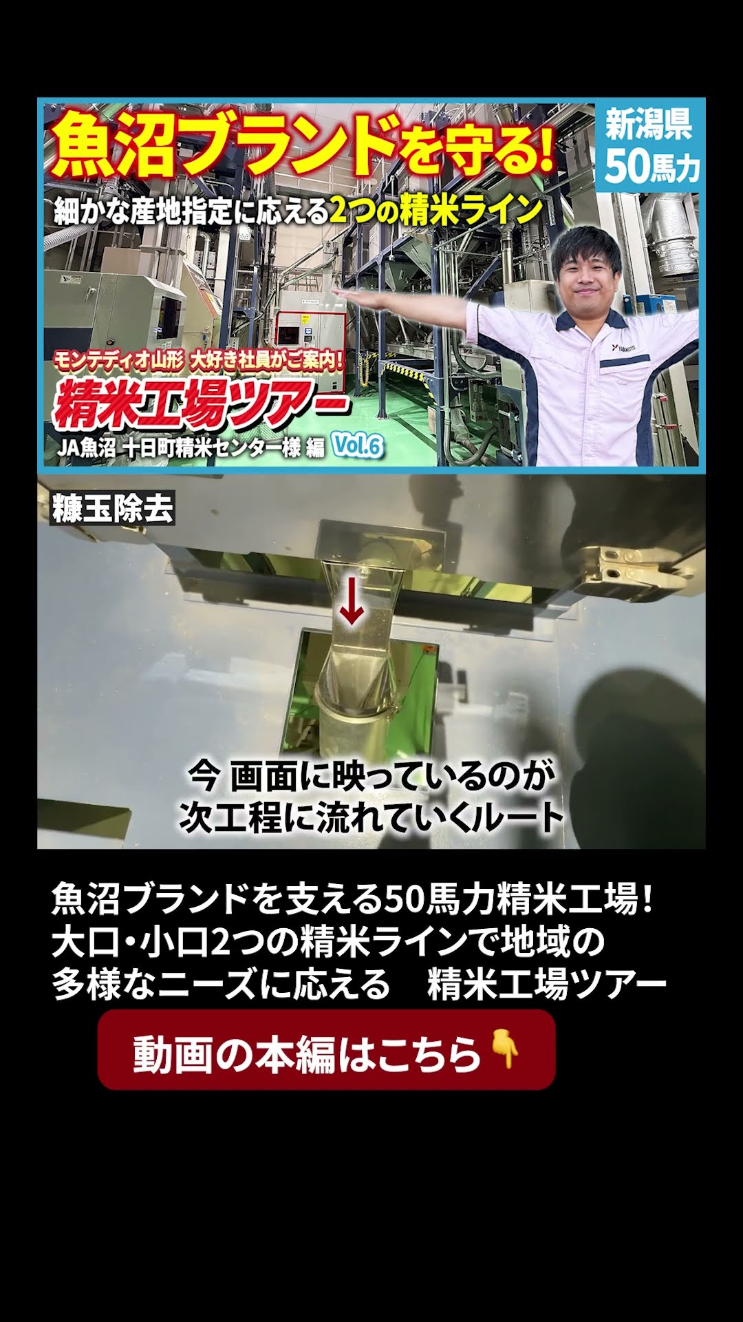 A 50-Horsepower Rice Milling Plant Supporting the Uonuma Brand