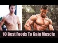 Best Foods To Gain Muscle | Best Muscle Building Foods | 10 Best Foods To Gain Muscle