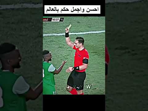 فيديو: هل مكبرات الصوت المنقولة أفضل؟