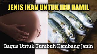 Jenis Ikan Kaya Protein yang Bagus Dikonsumsi Ibu Hamil dan Janin