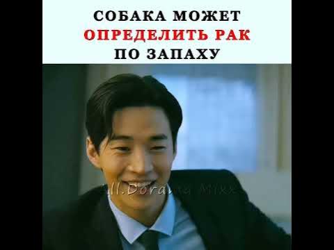 Фильм: Собачья жизнь 2. #фильмы - YouTube