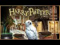 Welcome to Diagon Alley 🔮 [ASMR] Harry Potter & Philosopher's Stone Ambience ✨Walkthrough Shops 📚⚗️🧙