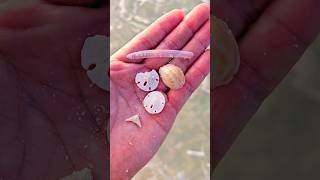 vacation SHELLING TIPS ⛱️