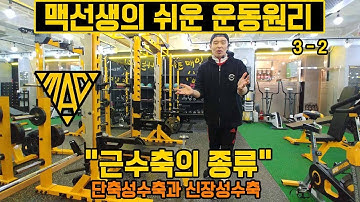 근수축 종류 (단축성수축concentric contraction/신장성수축eccentric contraction) [맥선생 운동원리 3-2]