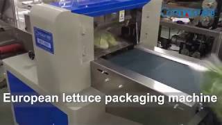 KT- 600X  false pakchoi and european lettuce packing machine