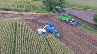 Wet Maize Harvest 2019