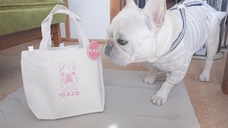 フレンチブルドッグこうめさんのお散歩バッグかみんぐすーん