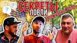 видео: Секреты пелагической ловли. Как поймать трофей? картинка: Секреты пелагической ловли. Как поймать трофей?