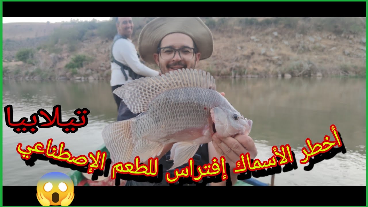 أخطر الأسماك إفتراس للطعم الإصطناعي سمك تيلابيا (سمك البلطي) 😱💥🎣