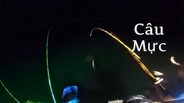 CÂU MỰC HÒN SƠN