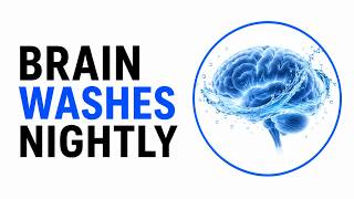 How Your Brain Literally Washes Itself Every Night And How To Help It