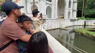 Taman Safari Bogor Part 3. Lihat Atraksi Hewan-hewan