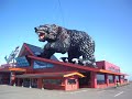 北海道・白老町・観光バスより大きい熊