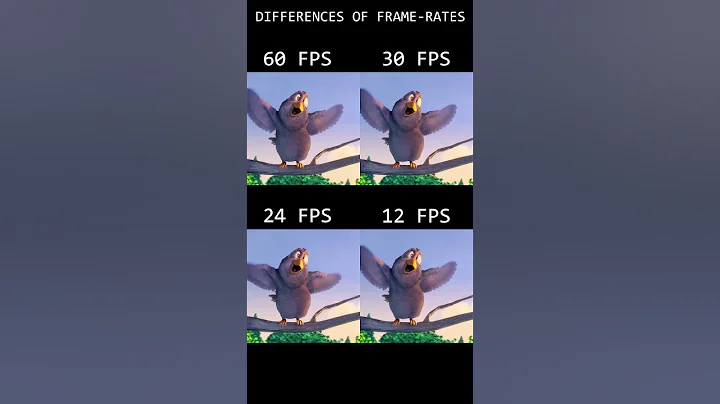 Differences between #fps #60fps #30fps #24fps #12fps