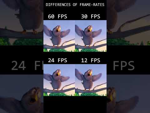 Differences Between #fps #60fps #30fps #24fps #12fps