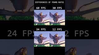 Differences between #fps #60fps #30fps #24fps #12fps