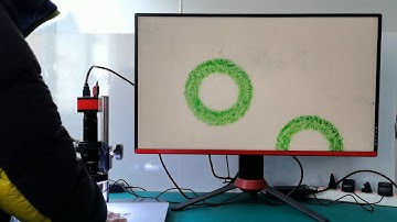 Lapsun 1080P 60FPS 1/2" Big CMOS HDMI Industrial Electronic Digital Video Microscope Camera