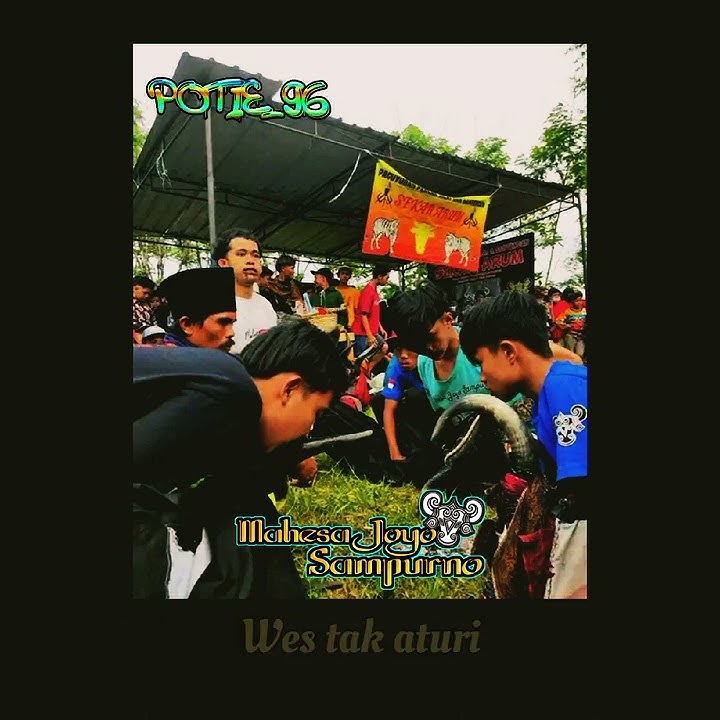🔴Cocok buat story WA,,IG//Story Bantengan//Mahesa Joyo Sampurno➡Mister Mendem