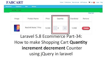 Laravel 5.8 Ecommerce Part-34: Shopping Cart quantity increment decrement Counter using jQuery