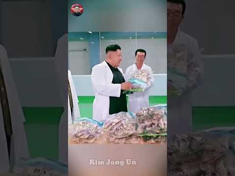 Mr  Kim Jong Un works in the production area #kimjongun #korea #northkorea #southkorea