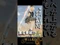 ワイルズのモチベが上がるかも知れないかわいいおすすめ重ね着コーデ モンハンワイルズ魅せプ【MHWs】Monster Hunter Wilds #shorts#MHWs#モンハンワイルズ