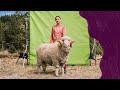 Smartwool | Do...