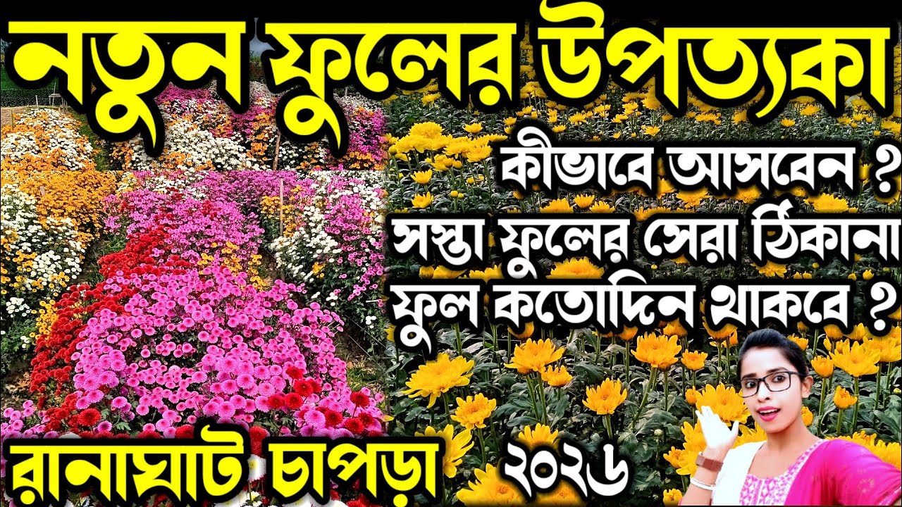 Chapra Flower Valley 2026😍Chapra Flower Garden😍নতুন ফুলের উপত্যকা ২০২৬😍Khirai Flower Garden 2026