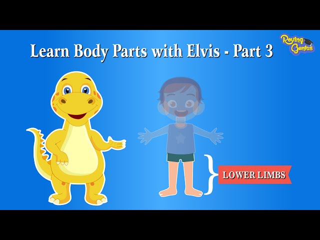 Discover the Parts of the Human Body 🤩 - Part 3 | Learn All About Legs with Roving Genius! 👣 class=