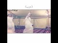 16 قبيلة من أقوى القبايل