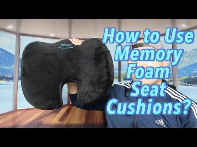 Sleepavo Memory Foam Seat Cushion & Lower Back Pain Relief Padded Lumbar  Support & Reviews