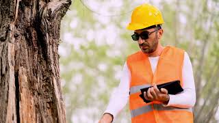 Introducing TREESURE: An EU project for safer urban forests