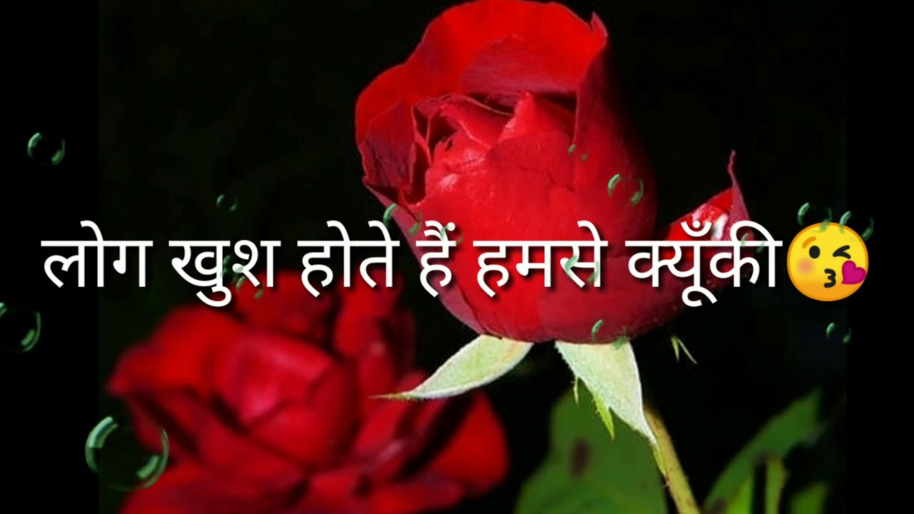 ️ Rose Day WhatsApp Status 7 Feb Rose Day Special WhatsApp Status ️