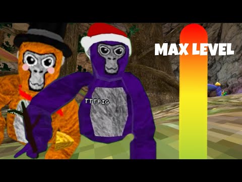 What’s the Max Skill Level in Gorilla Tag? | 2M View Special