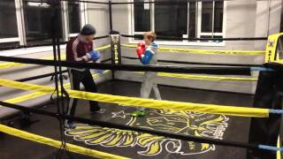 11 year old boxer