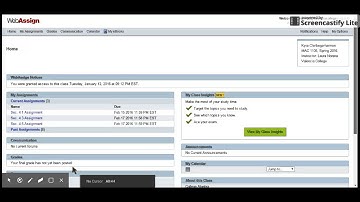 How to use Web Assign
