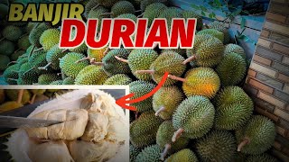 Local Durian from Trenggalek in a Place of Abundant Natural Bounty.